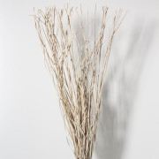 flores-secas-bambusa-h115-cm